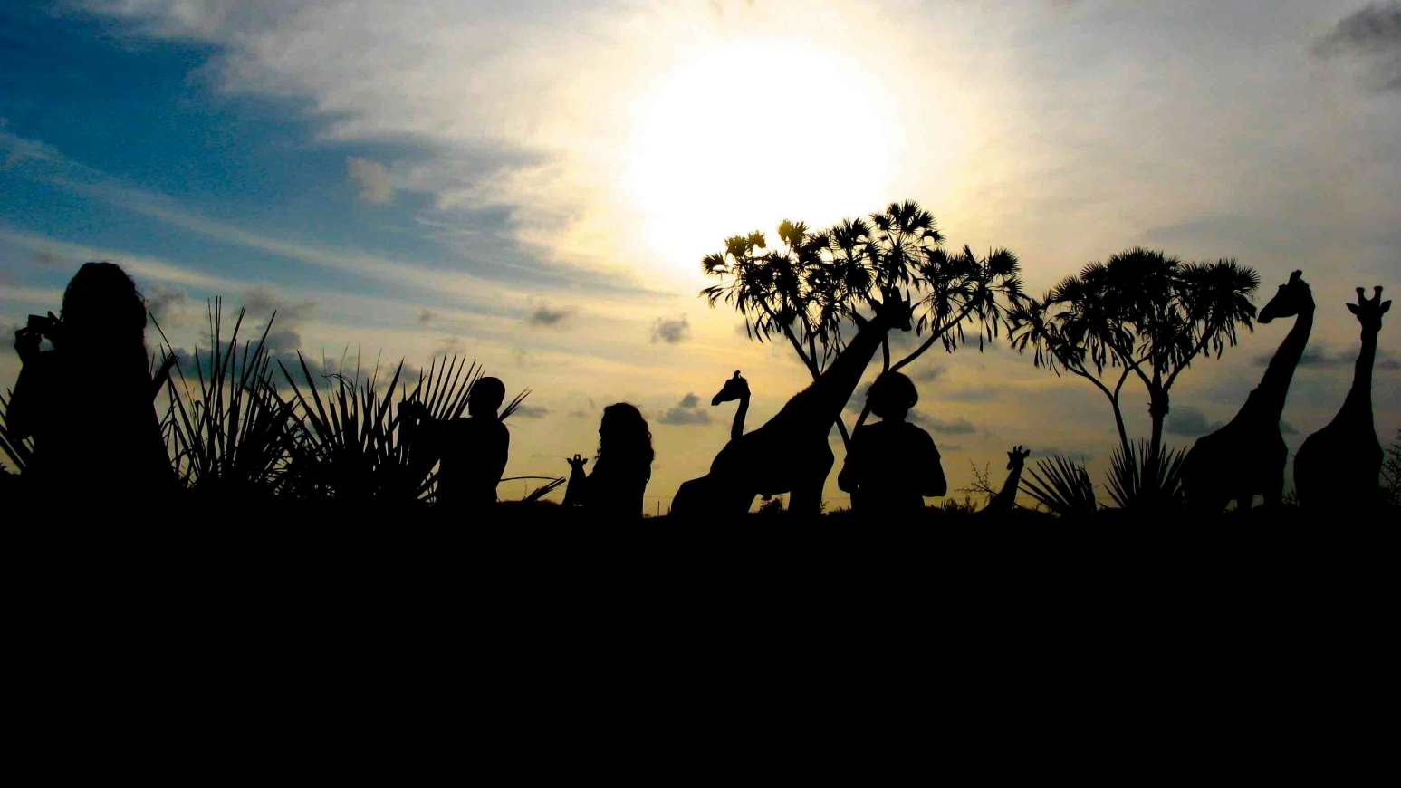 Global restoration projects of Let's Plant e.V.
